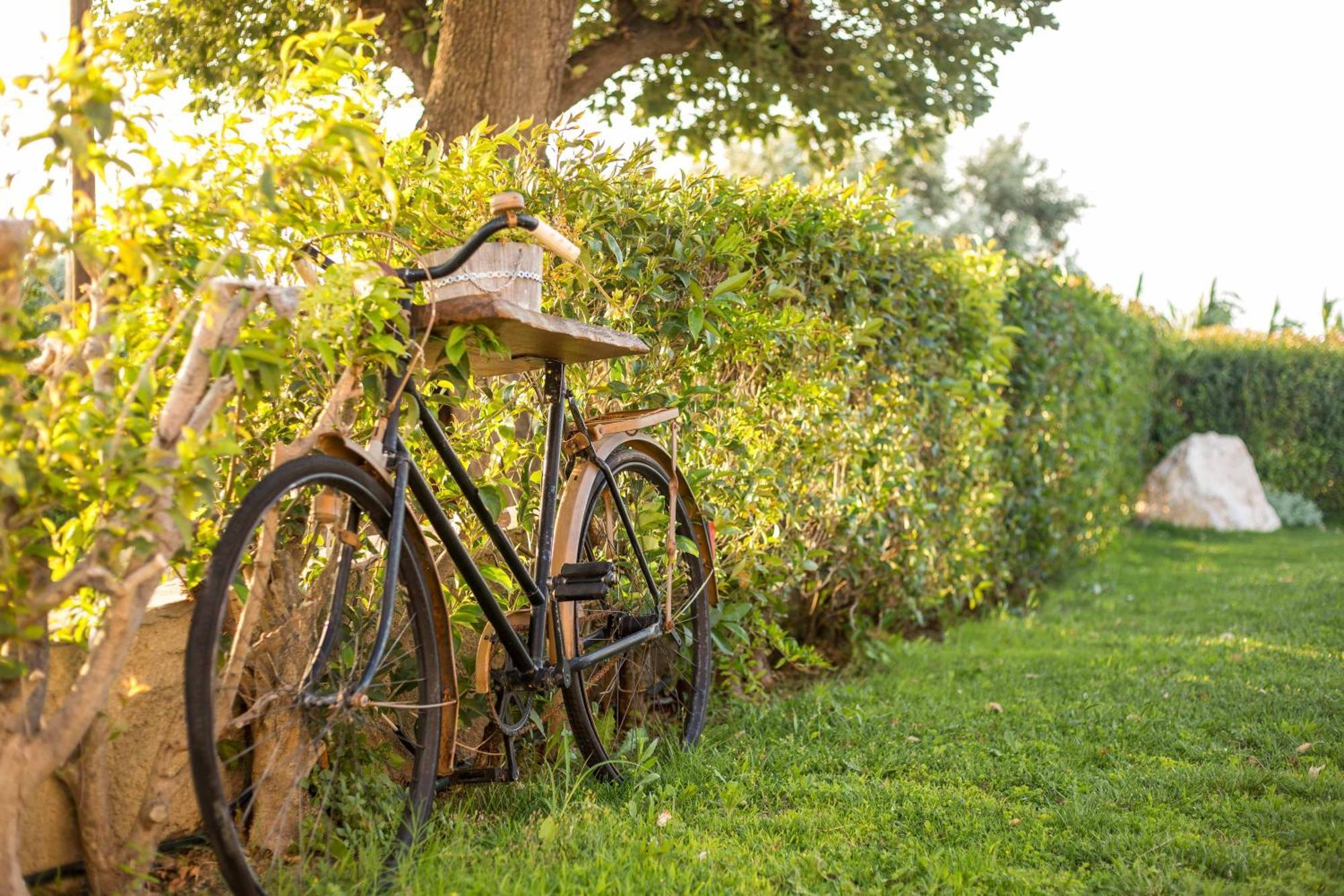 Willa Old Nest House Sálakos Zewnętrze zdjęcie